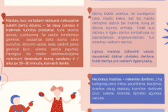 Ekrano-nuotrauka-2025-02-18-160732-dantuku