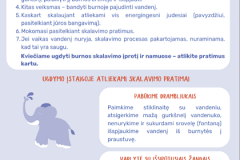 Ekrano-nuotrauka-2025-03-04-skalavimas-3