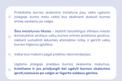 Ekrano-nuotrauka-2025-03-04skalavimas-1